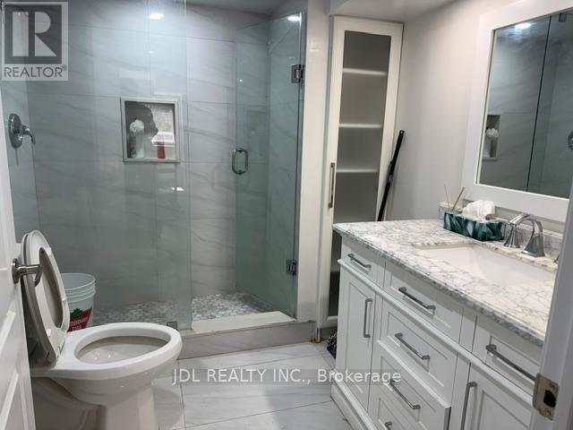 Basement - 1238 Winterbourne Drive, Oakville, Ontario L6J 7G3 - Photo 13 - W13167088
