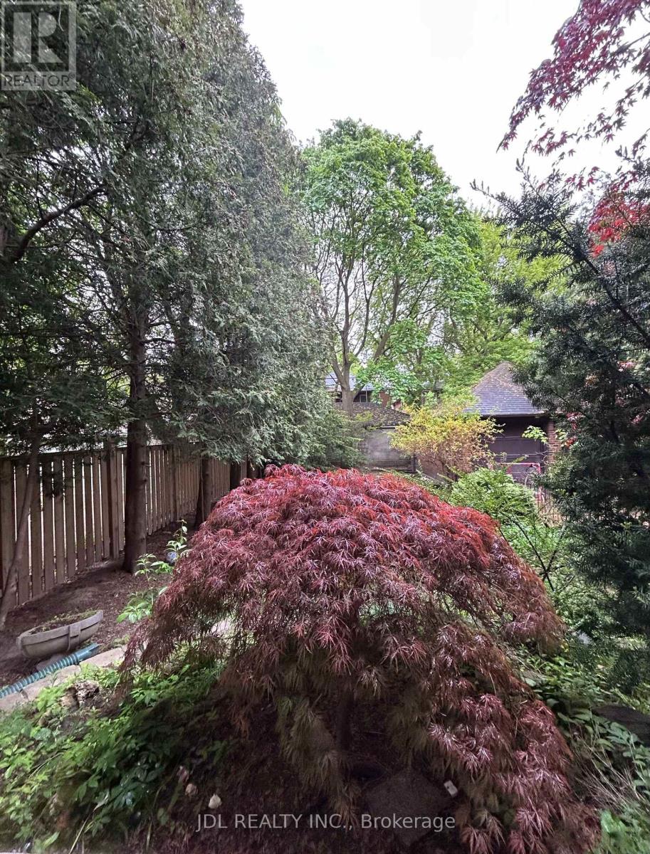 Bsmt - 19 Glengrove Ave E Avenue, Toronto, Ontario  M4N 1E6 - Photo 8 - C13167110