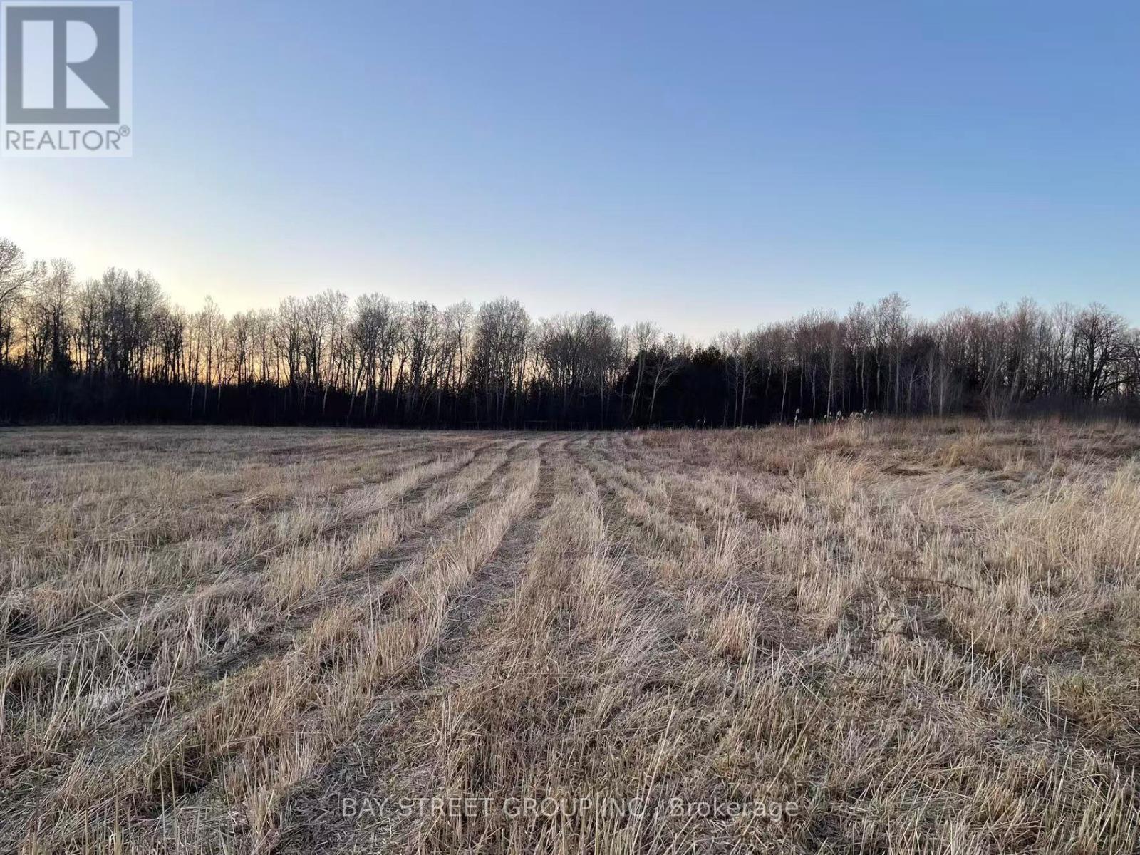 4870 Elgin Mills Road E, Markham, Ontario  L6C 1L5 - Photo 3 - N13015112