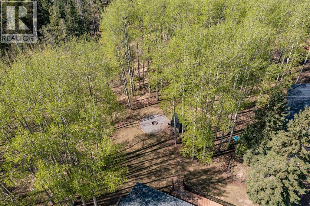 413065 Range Road 6-3, Rural Clearwater County, Alberta  T4T 2A1 - Photo 42 - A2311654