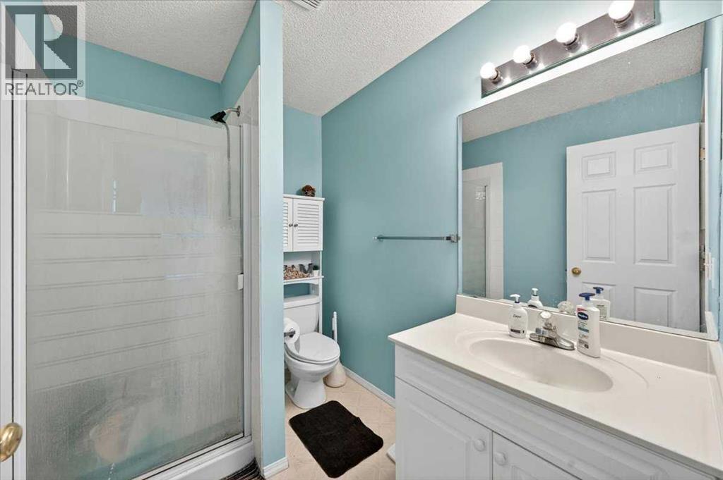 15 Cedarview Mews, Calgary, Alberta  T2W 6H8 - Photo 26 - A2312178