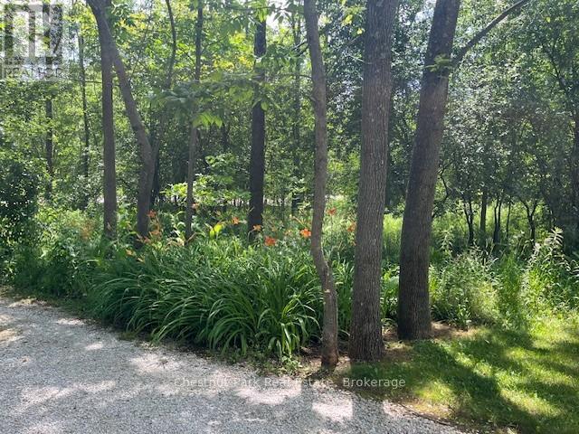 156 Harbour Beach Drive, Meaford, Ontario  N4L 1W5 - Photo 36 - X12908266