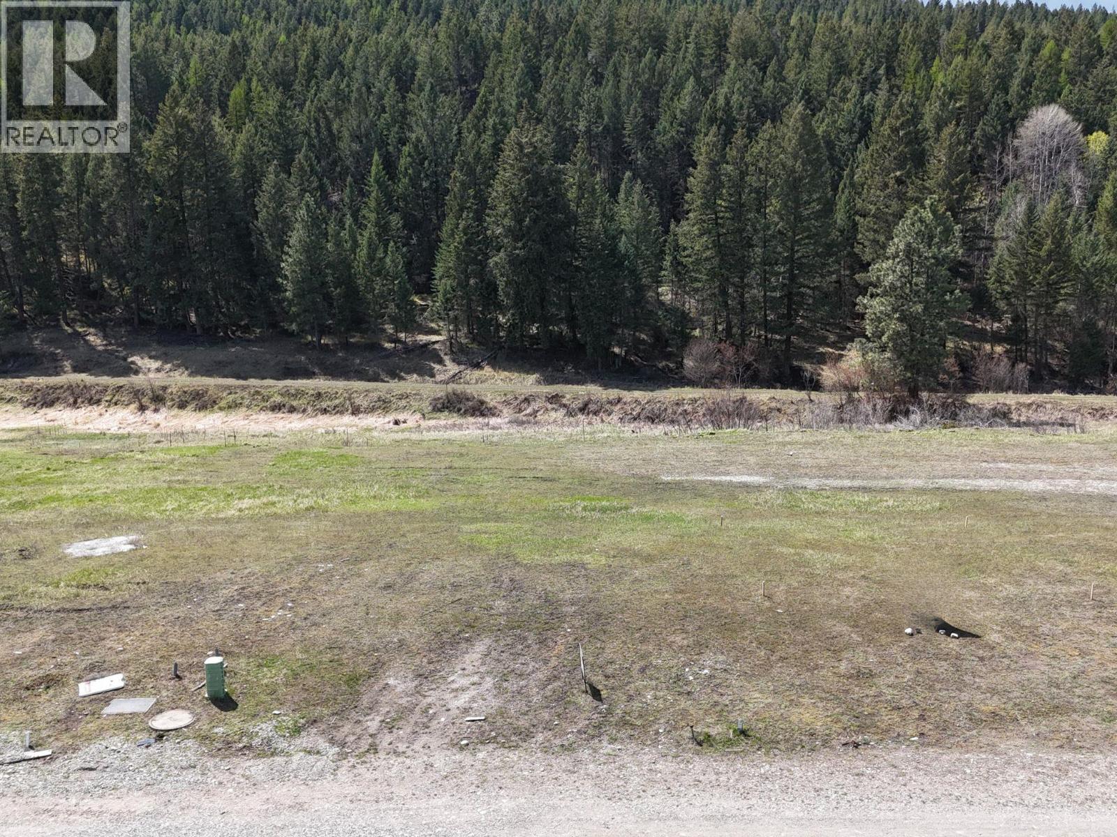Lot 34 Laurier Avenue, Wardner, British Columbia V0B 2J0 - Photo 4 - 10384163