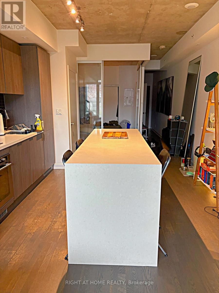 209 - 109 Ossington Avenue, Toronto, Ontario  M6J 0G1 - Photo 8 - C13167480
