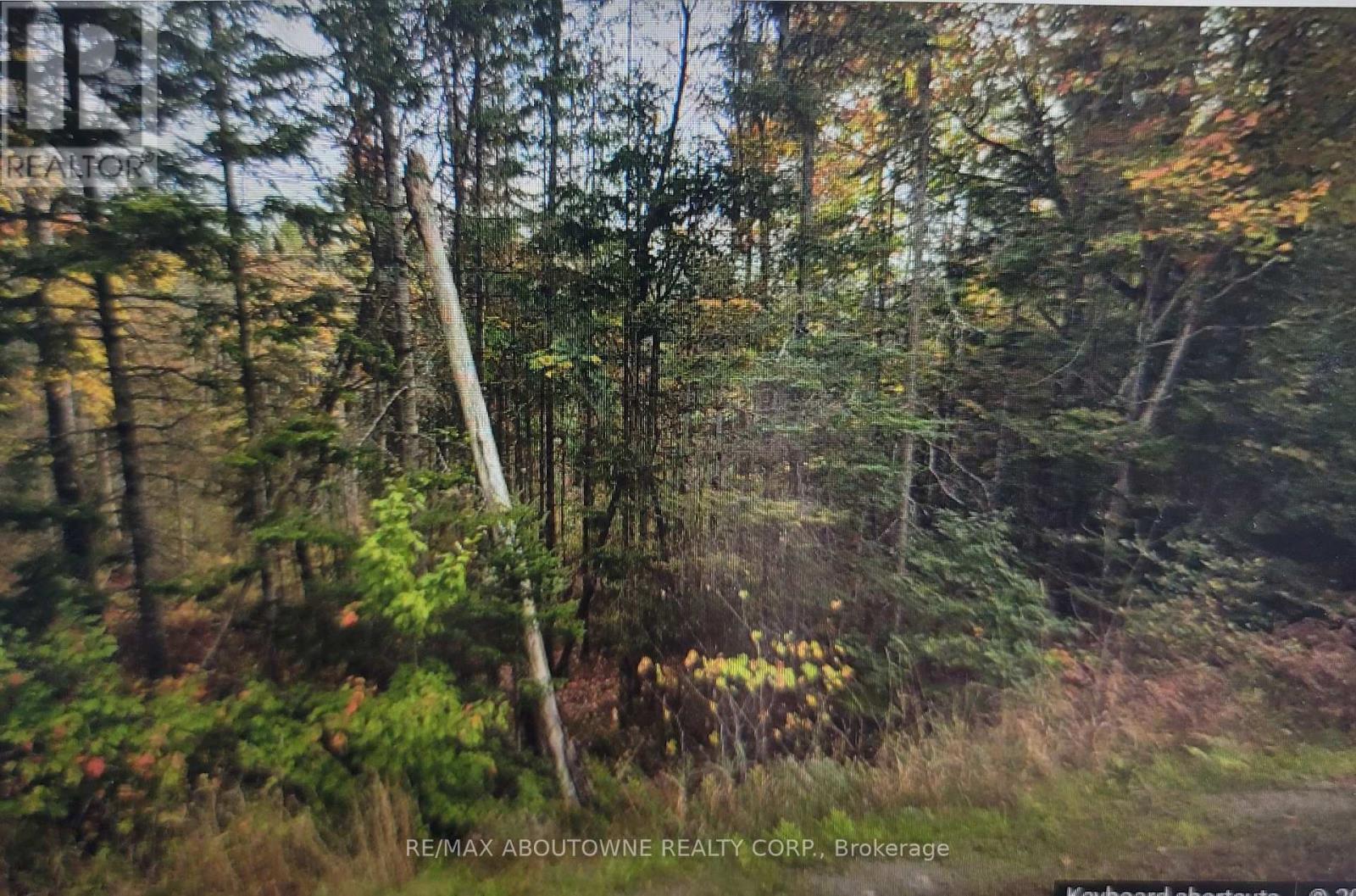 780 Lot 8 520n Highway, Whitestone, Ontario  P0A 1G0 - Photo 2 - X13167498