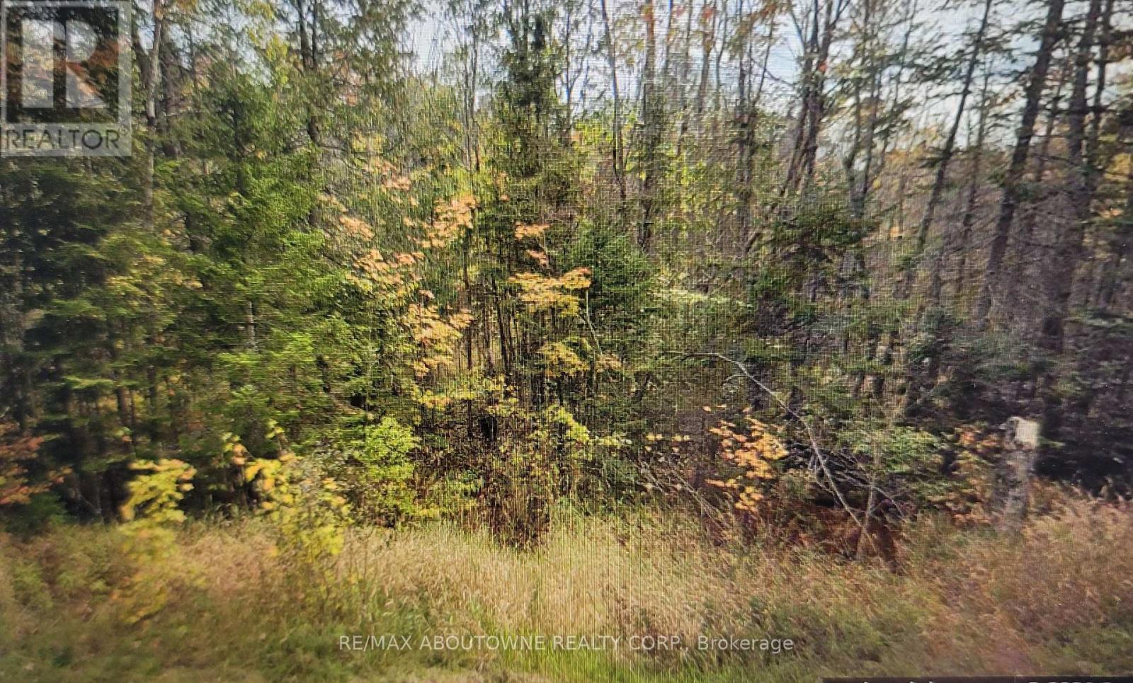 780 Lot 8 520n Highway, Whitestone, Ontario  P0A 1G0 - Photo 3 - X13167498