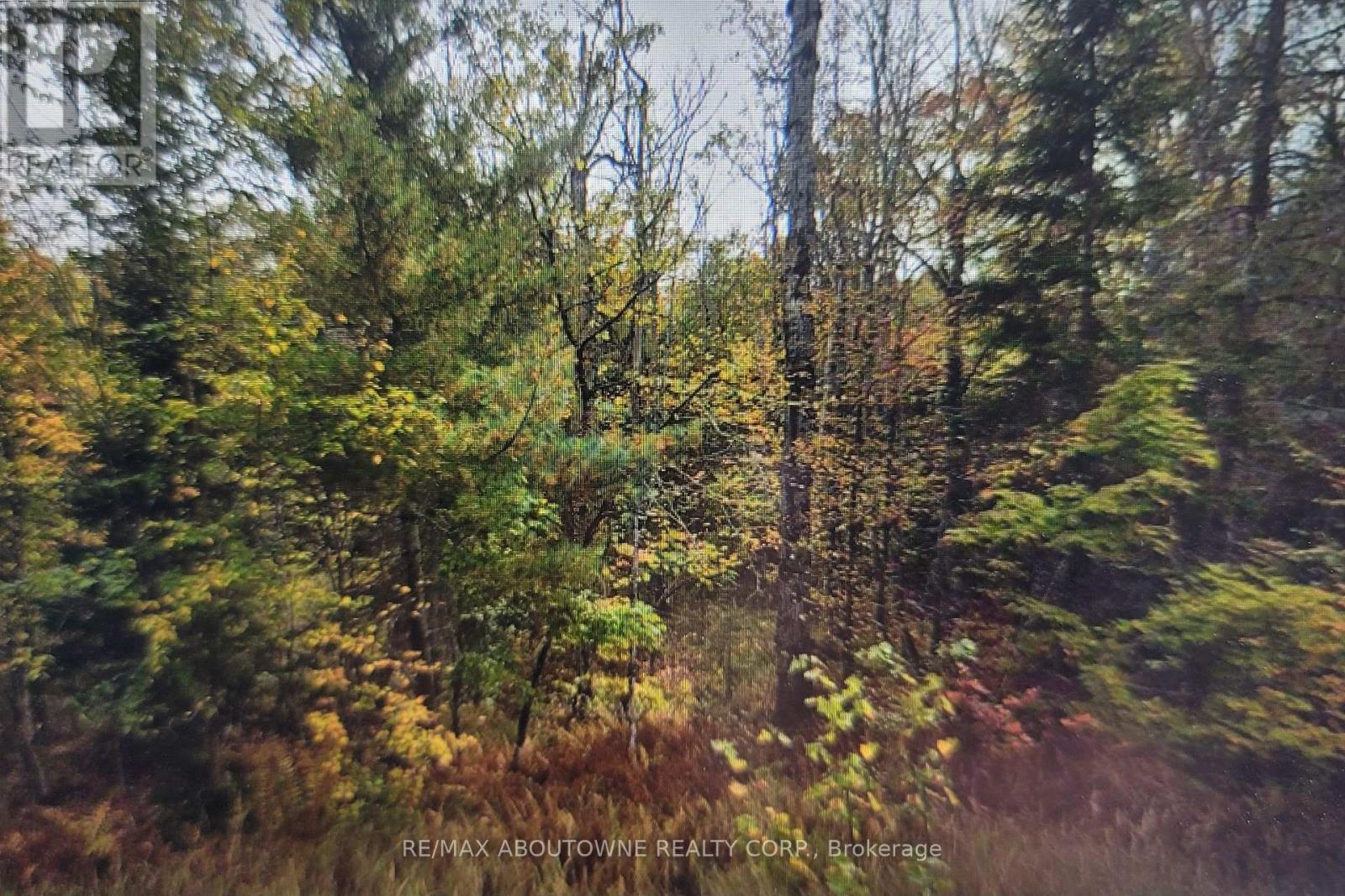 780 Lot 7 Hwy 520n Highway, Whitestone, Ontario  P0A 1G0 - Photo 2 - X13167510
