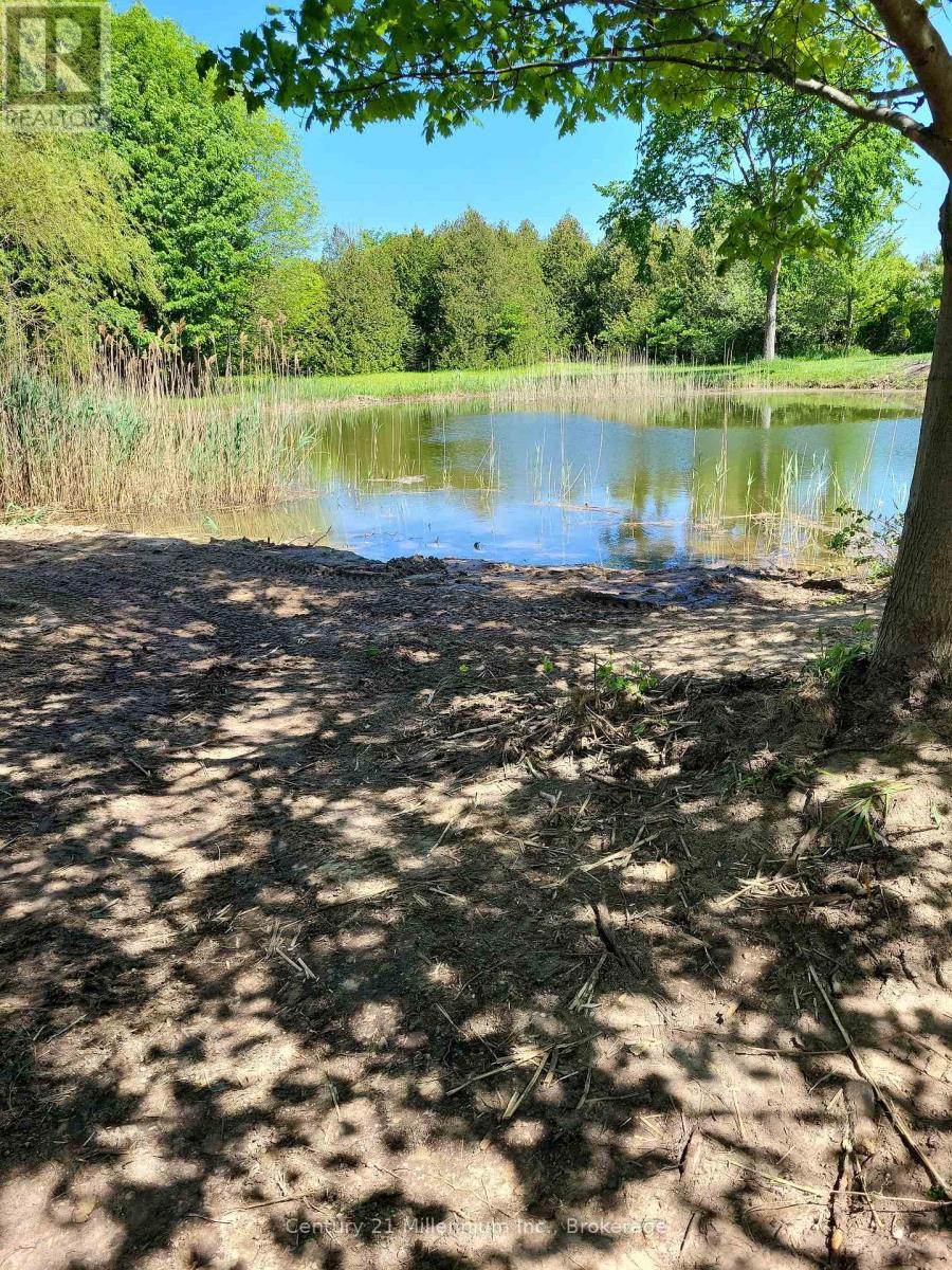 1547 County 42 Road, Clearview, Ontario  L0M 1S0 - Photo 49 - S12911660
