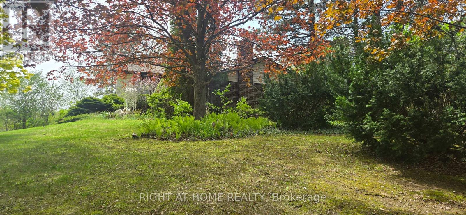 16140 Mount Hope Road, Caledon, Ontario  L7E 3K7 - Photo 5 - W13166442