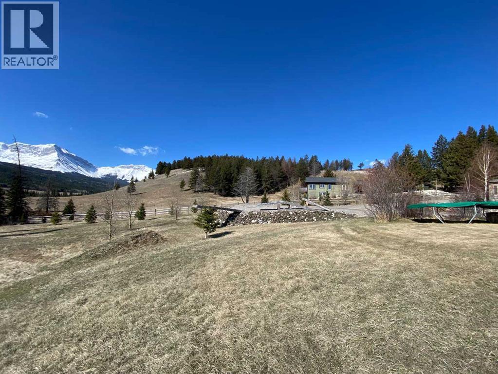 5302 19 Avenue, Coleman, Alberta  T0K 0E0 - Photo 3 - A2300949
