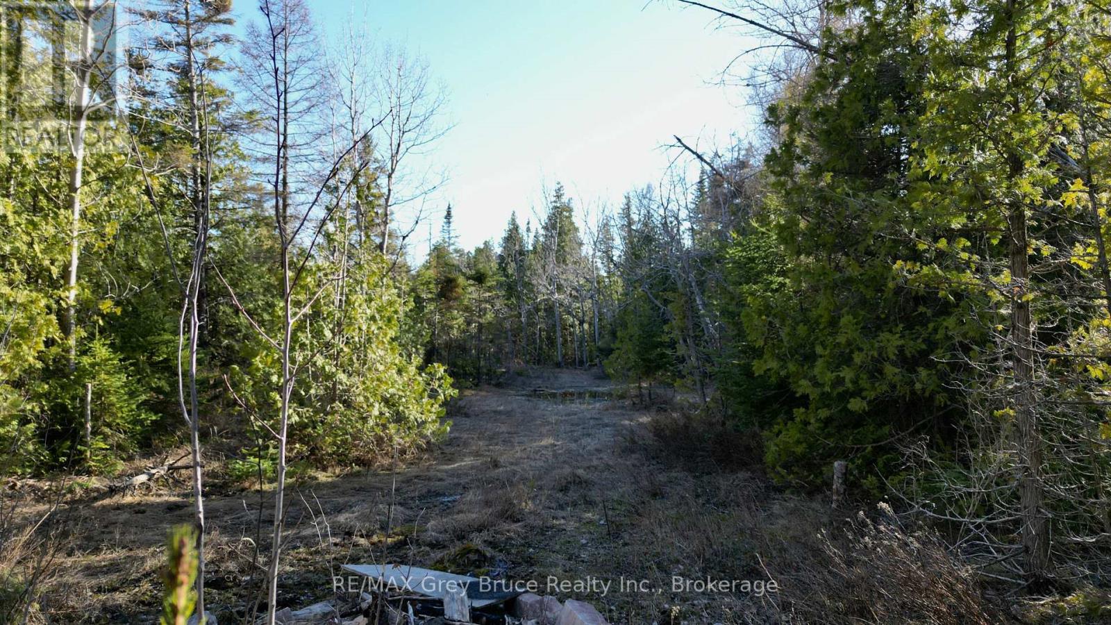 717 Spry Road, Northern Bruce Peninsula, Ontario  N0H 1W0 - Photo 48 - X13163258