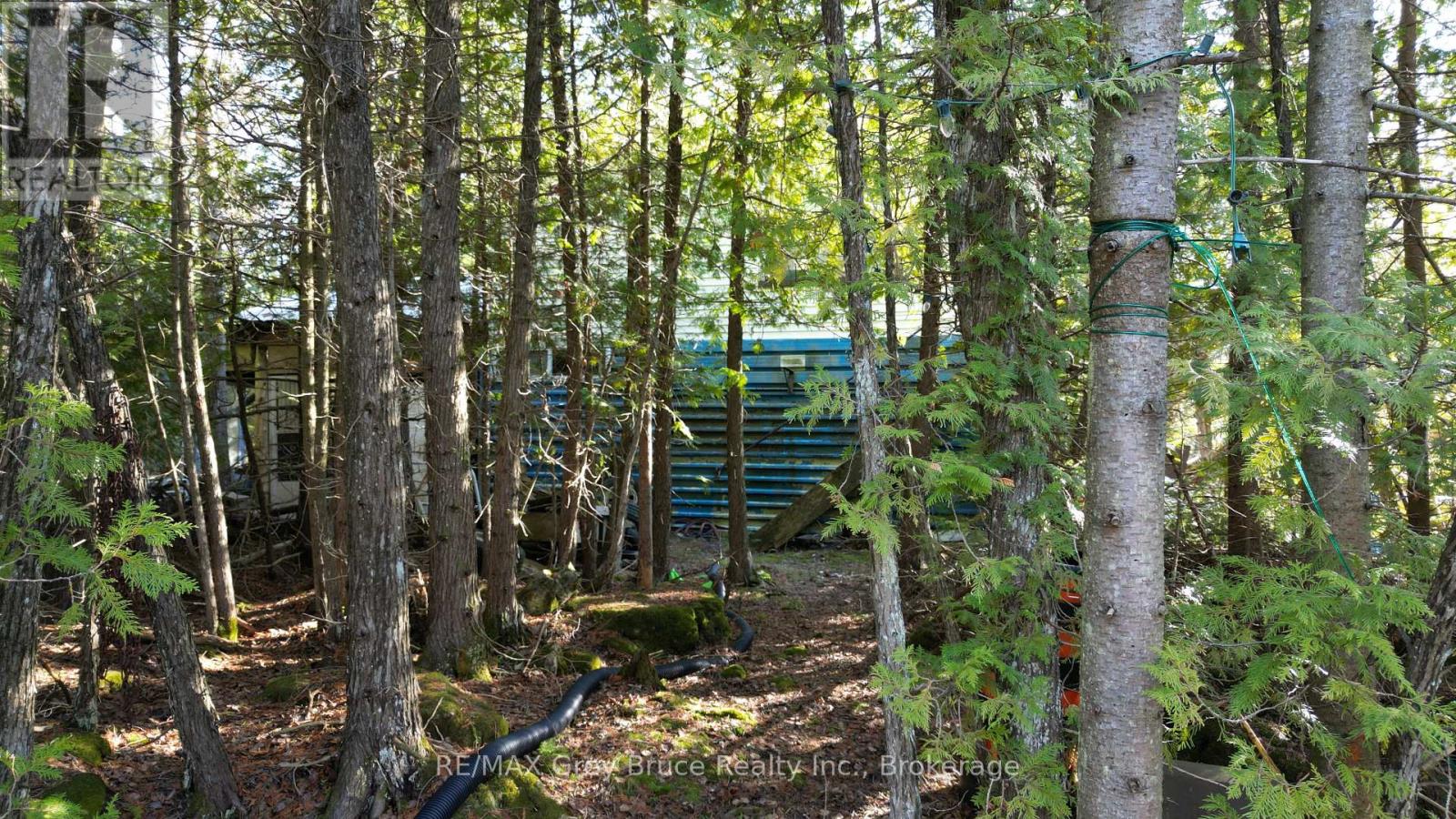 717 Spry Road, Northern Bruce Peninsula, Ontario  N0H 1W0 - Photo 47 - X13163258