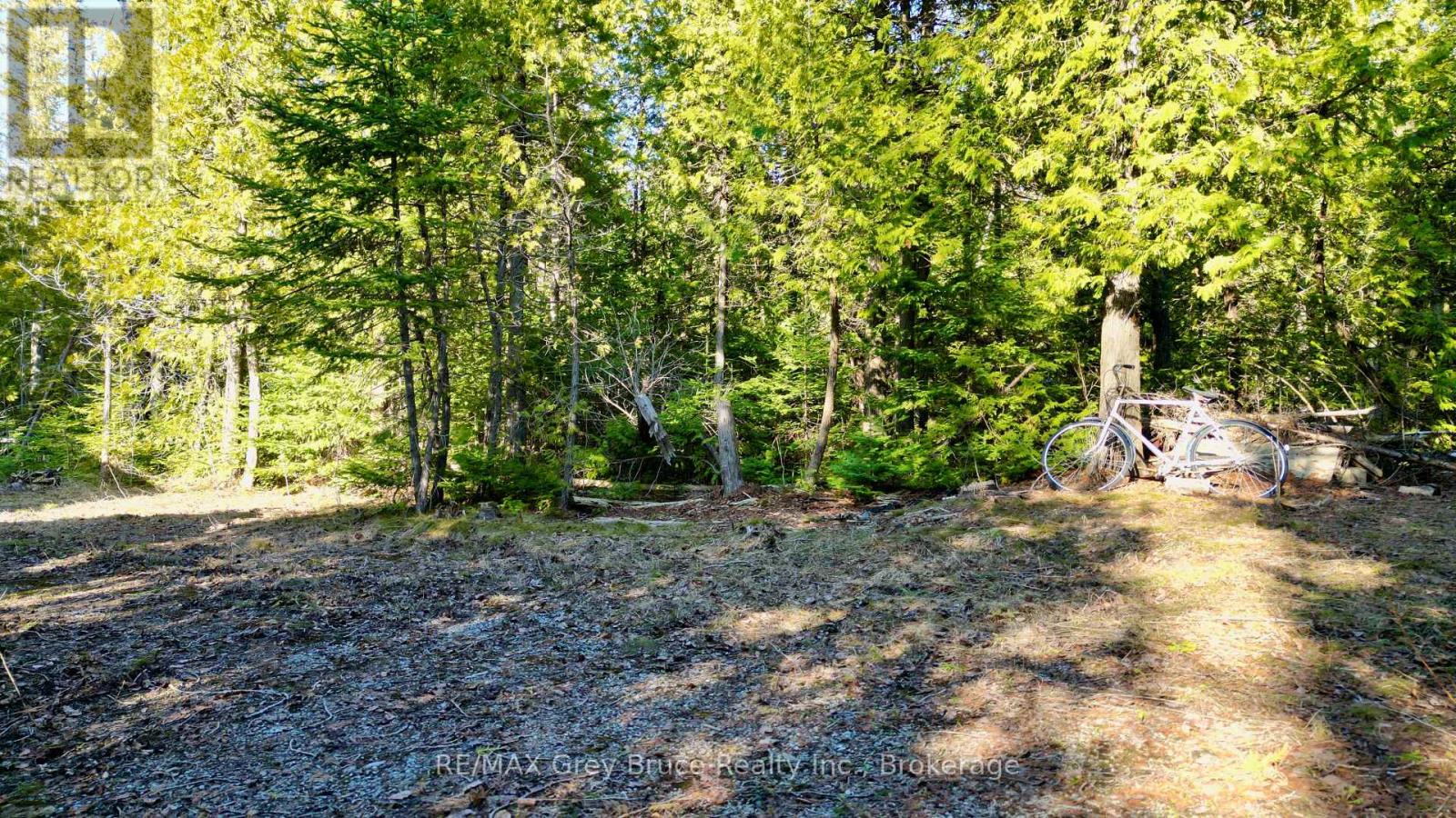 717 Spry Road, Northern Bruce Peninsula, Ontario  N0H 1W0 - Photo 8 - X13163258