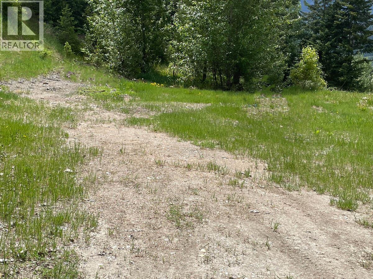 542 Day Road, Golden, British Columbia  V0A 1H0 - Photo 9 - 10388709