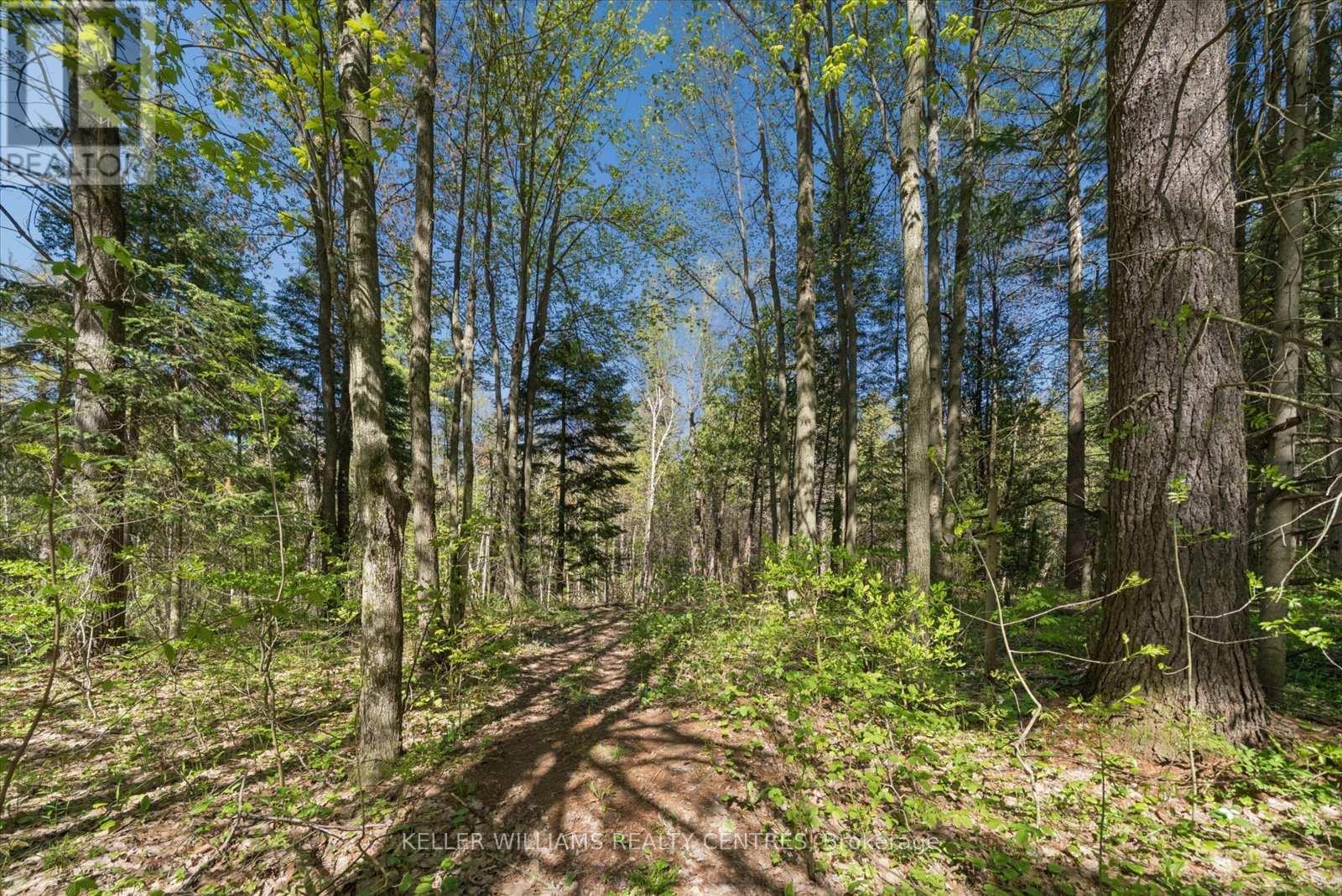 48 Deer Lane, Adjala-Tosorontio, Ontario  L0M 1J0 - Photo 49 - N13167820
