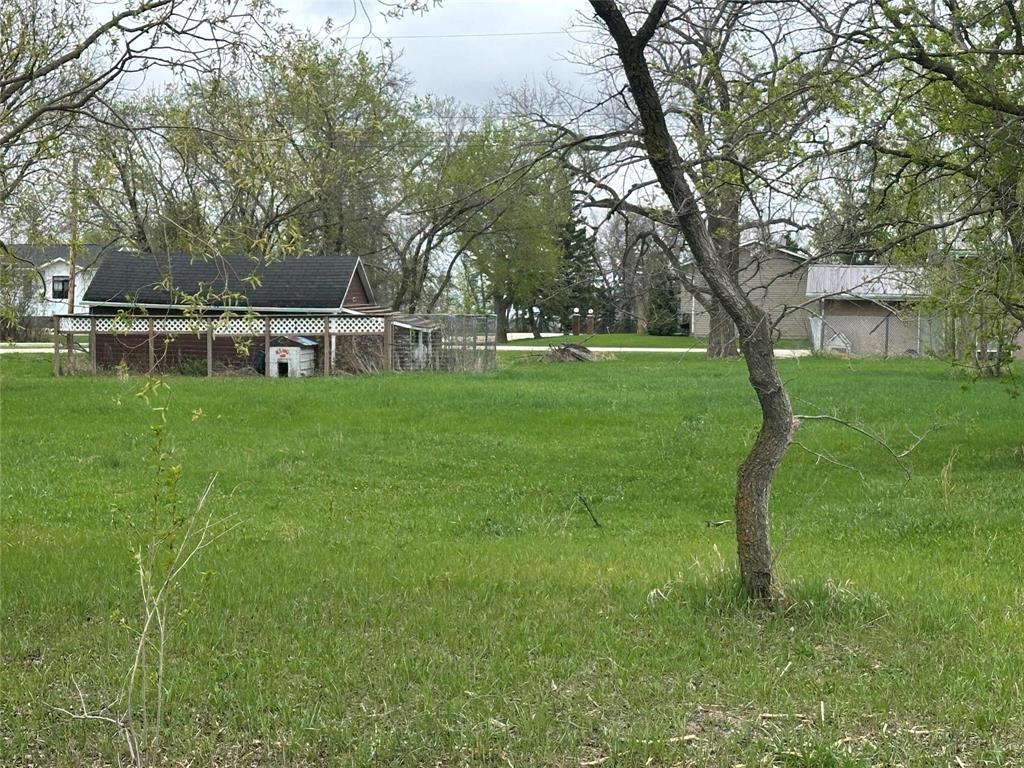 51 Main Avenue E, Arnaud, Manitoba  R0A 0B0 - Photo 24 - 202605403