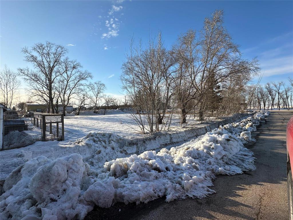 51 Main Avenue E, Arnaud, Manitoba  R0A 0B0 - Photo 35 - 202605403