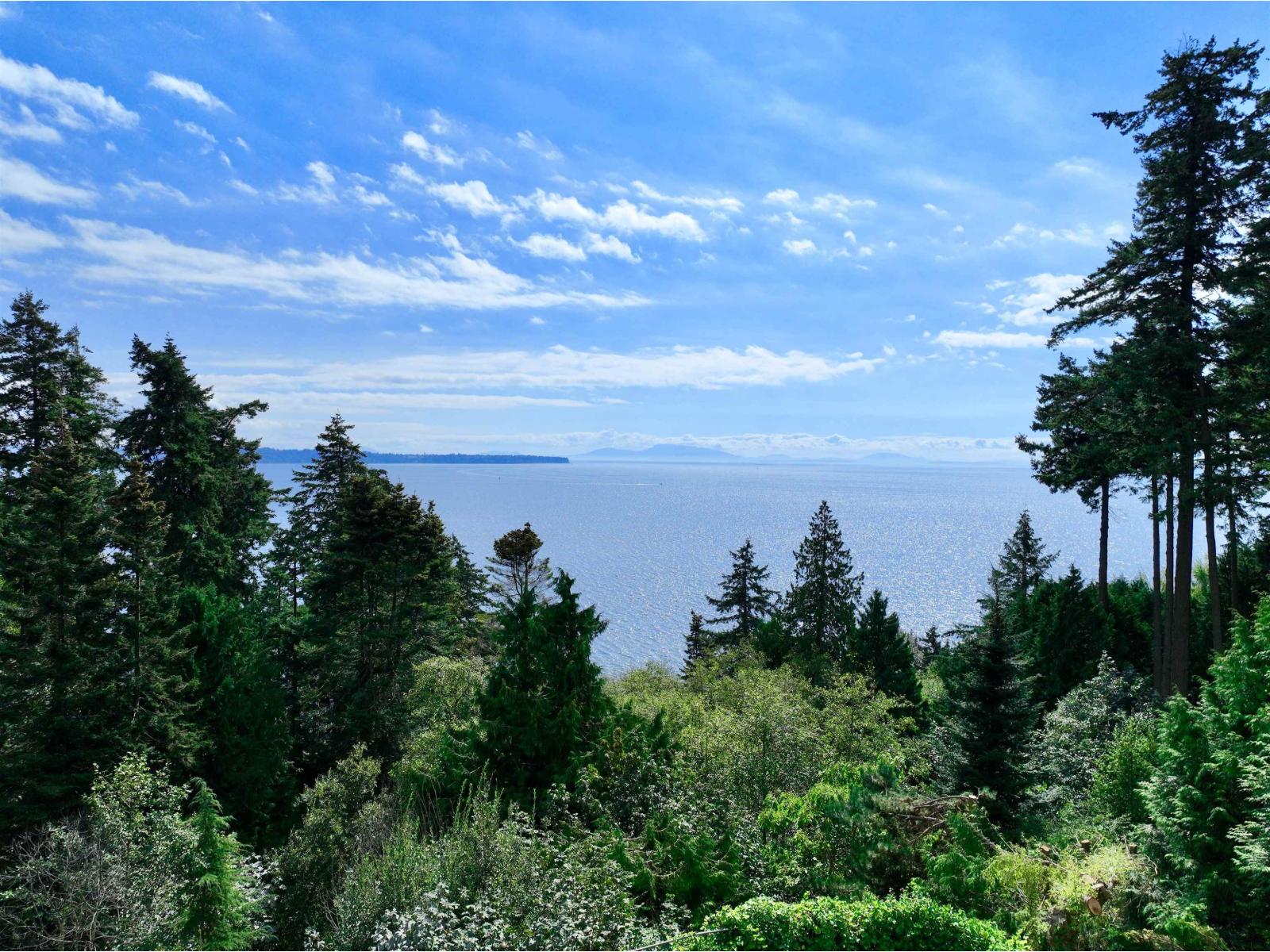 13910 Terry Road, White Rock, British Columbia  V4B 1A2 - Photo 7 - R3087056