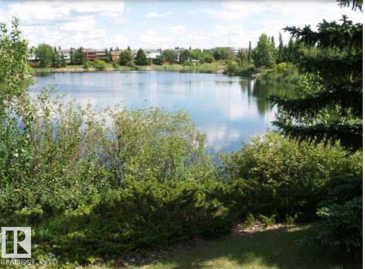 10688 Beaumaris Rd Nw, Edmonton, Alberta T5X 3N4 - Photo 63 - E4488431