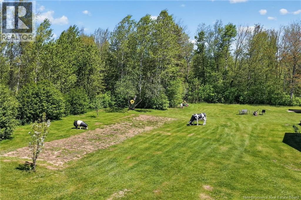 108 Lewis Road, Colpitts Settlement, New Brunswick  E4J 1G5 - Photo 21 - NB133933