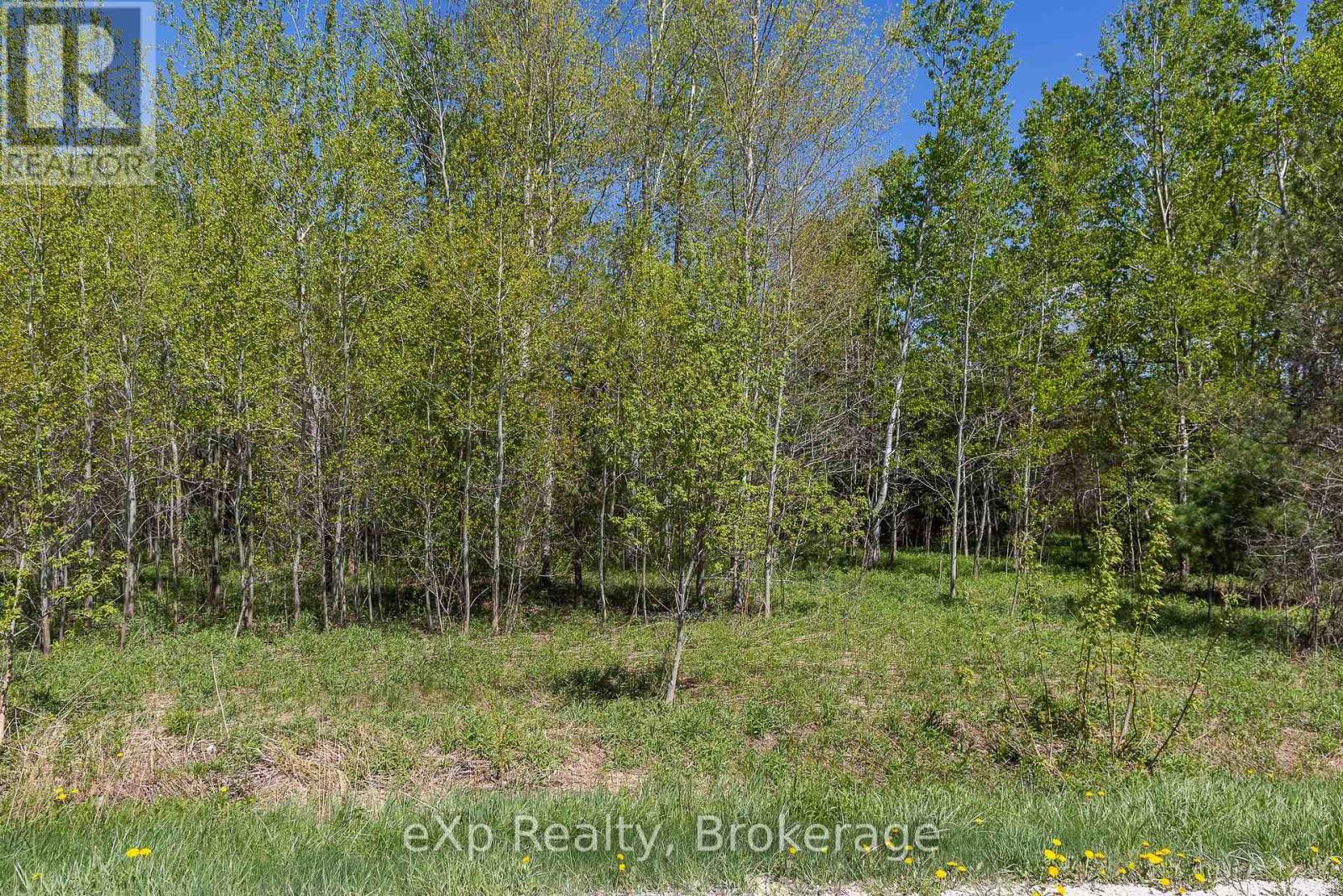 5716 County Road 9, Clearview, Ontario  L0M 1N0 - Photo 5 - S12679300