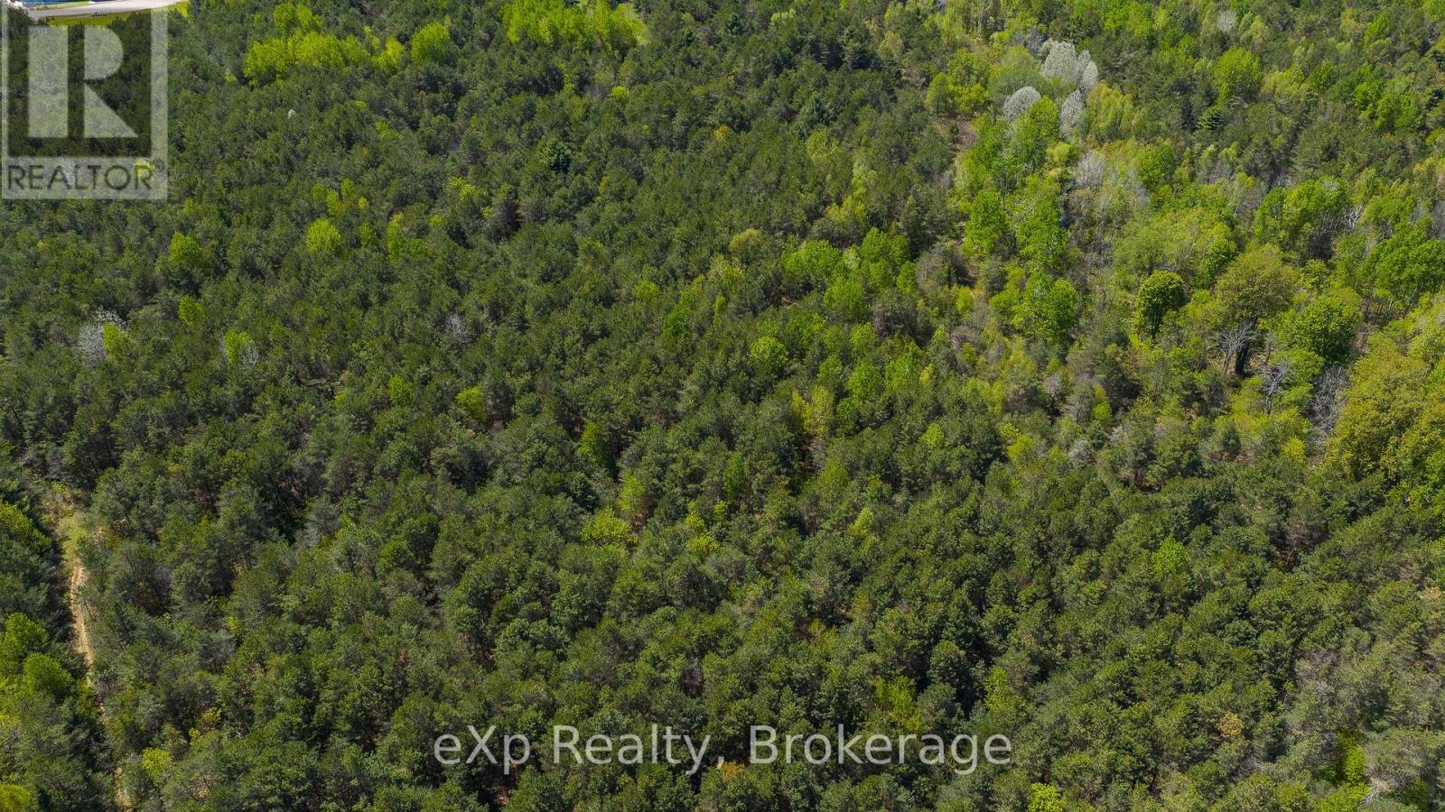 5716 County Road 9, Clearview, Ontario  L0M 1N0 - Photo 21 - S12679302