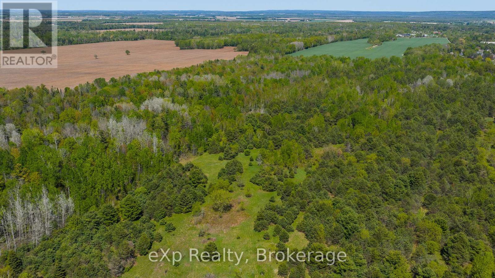 5716 County Road 9, Clearview, Ontario  L0M 1N0 - Photo 23 - S12679302