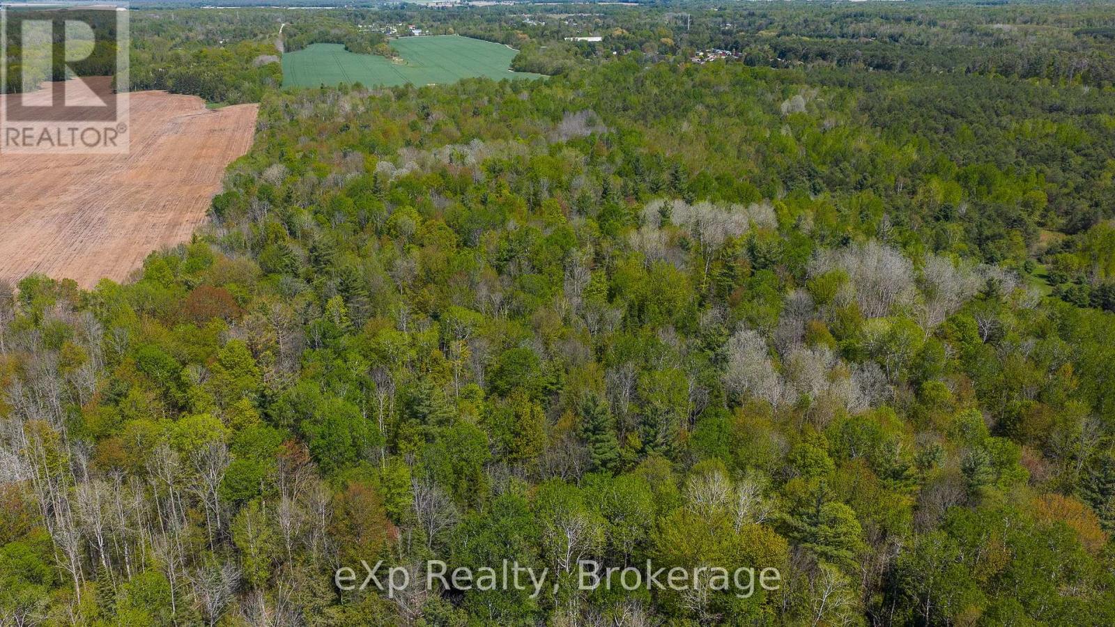 5716 County Road 9, Clearview, Ontario  L0M 1N0 - Photo 29 - S12679302