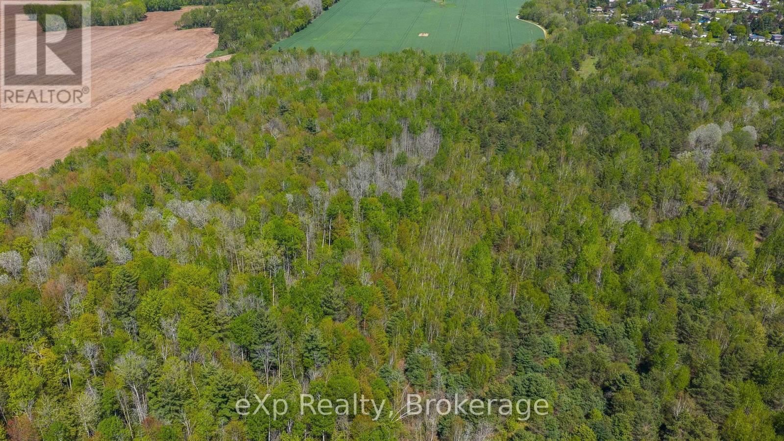 5716 County Road 9, Clearview, Ontario  L0M 1N0 - Photo 32 - S12679302
