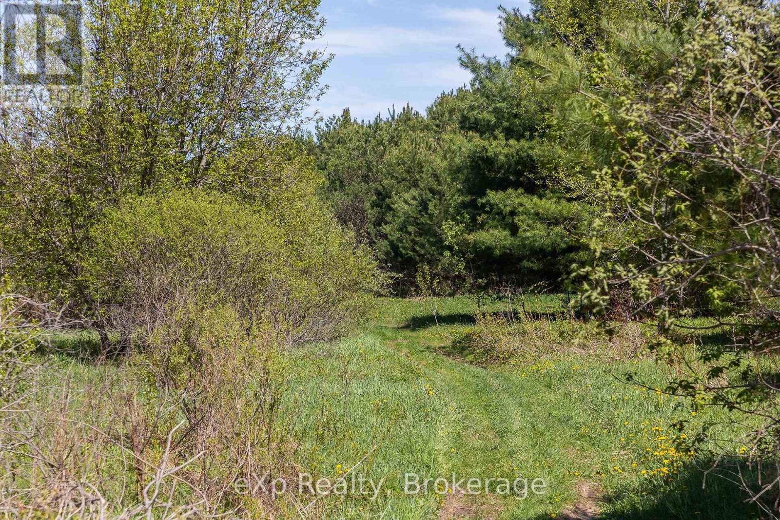 5716 County Road 9, Clearview, Ontario  L0M 1N0 - Photo 8 - S12679302