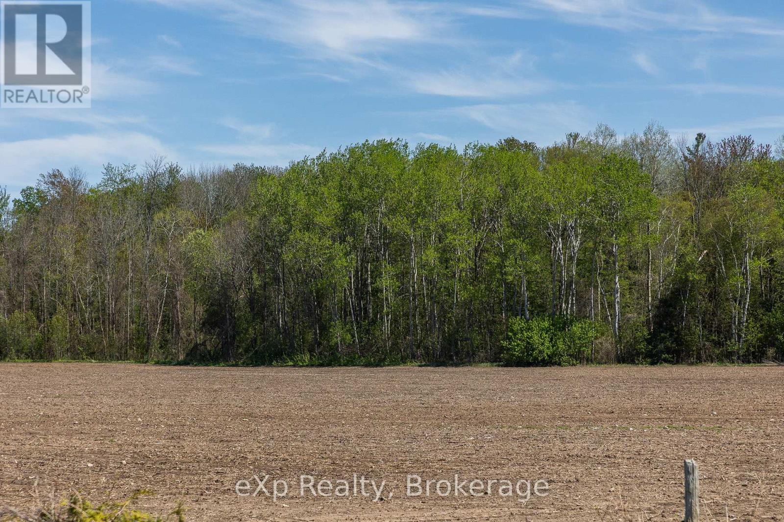 5716 County Road 9, Clearview, Ontario  L0M 1N0 - Photo 6 - S12679302