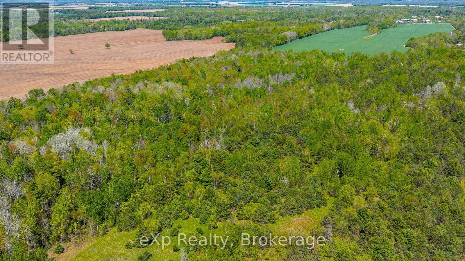 5716 County Road 9, Clearview, Ontario  L0M 1N0 - Photo 35 - S12679302