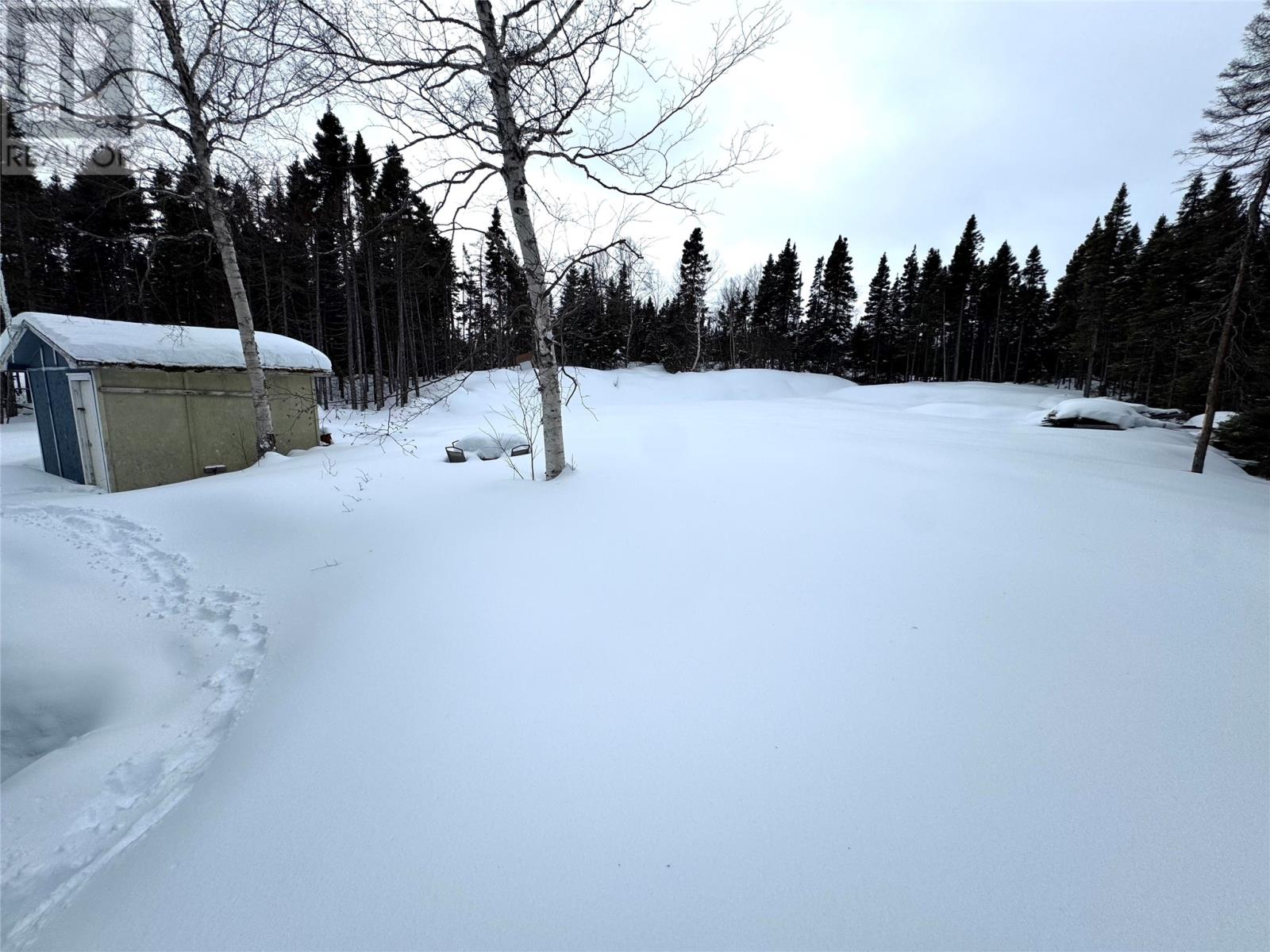 74 Crooked Lake Road, Badger, Newfoundland & Labrador   - Photo 13 - 1294714