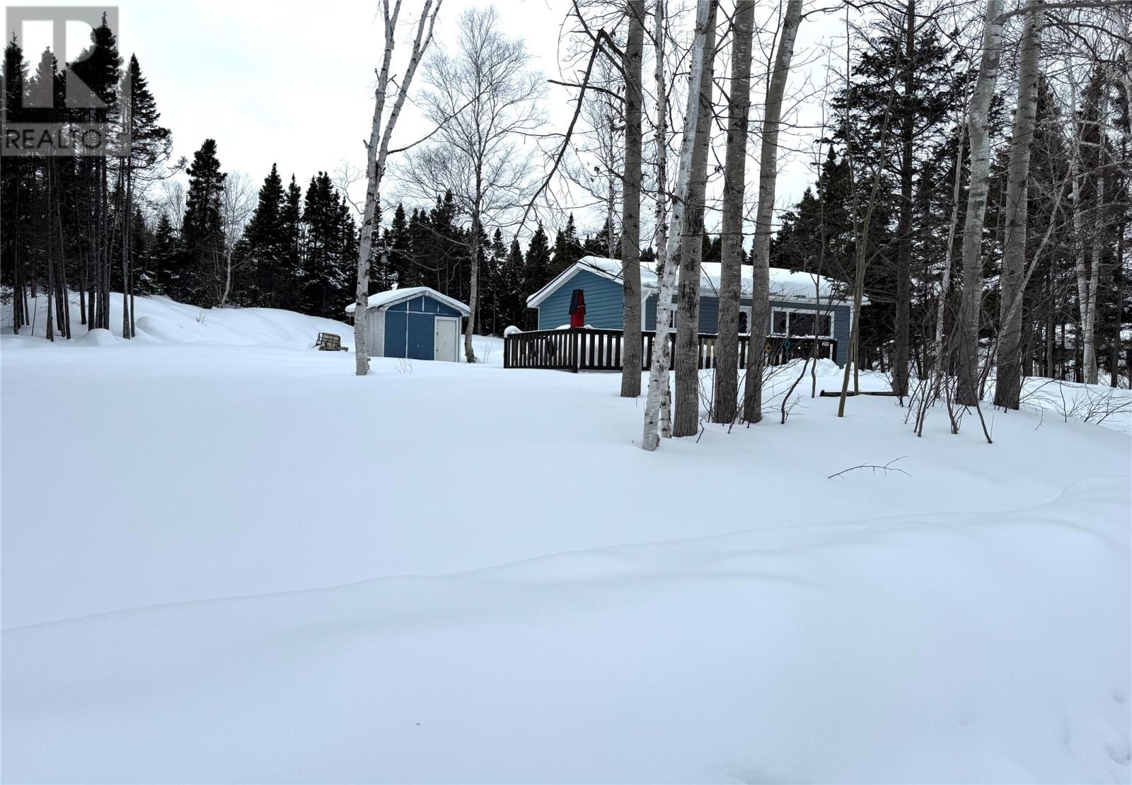 74 Crooked Lake Road, Badger, Newfoundland & Labrador   - Photo 16 - 1294714