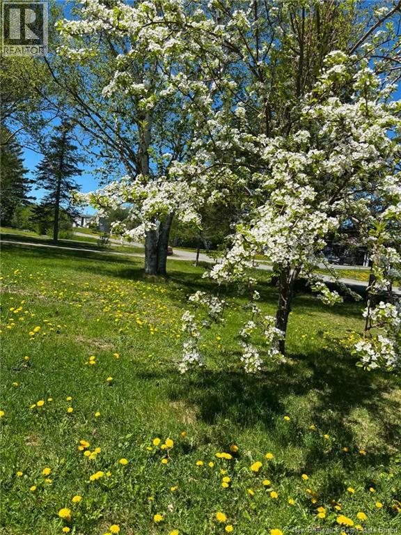 792 Route 555, Richmond Corner, New Brunswick  E7M 5B6 - Photo 3 - NB138226
