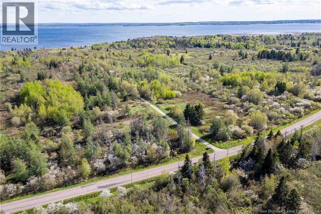 Lot Lloyd Allen Lane, Upper Cape, New Brunswick  E4M 3E8 - Photo 4 - NB140062