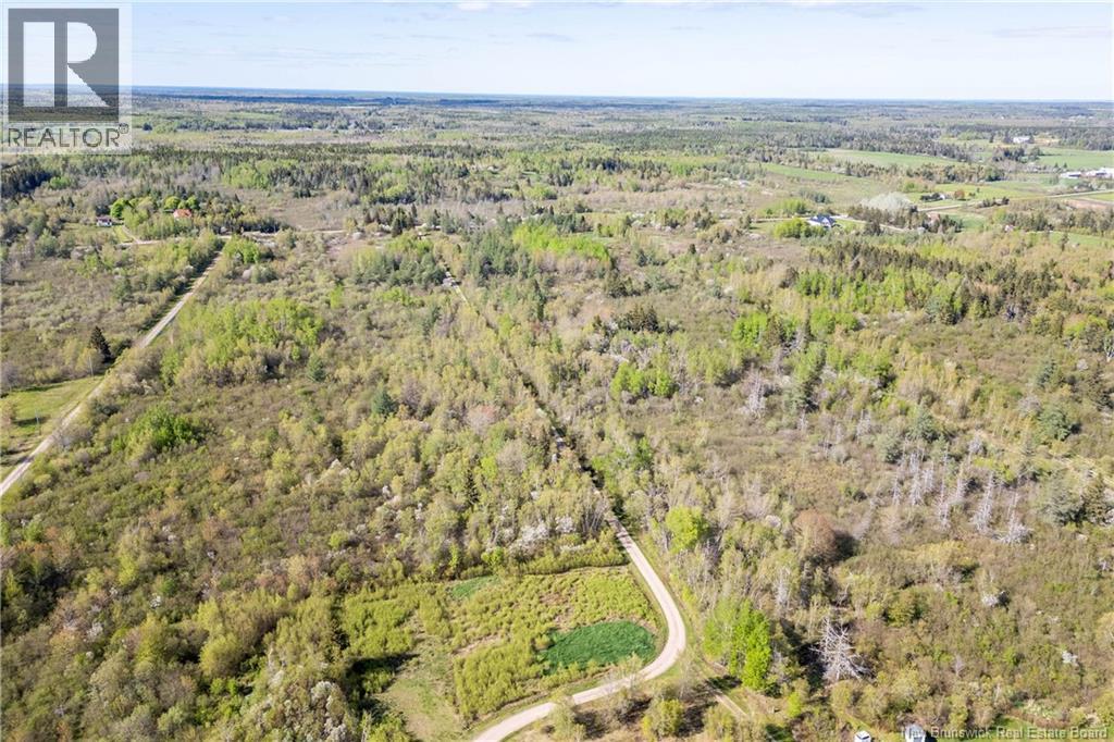 Lot Lloyd Allen Lane, Upper Cape, New Brunswick  E4M 3E8 - Photo 6 - NB140062