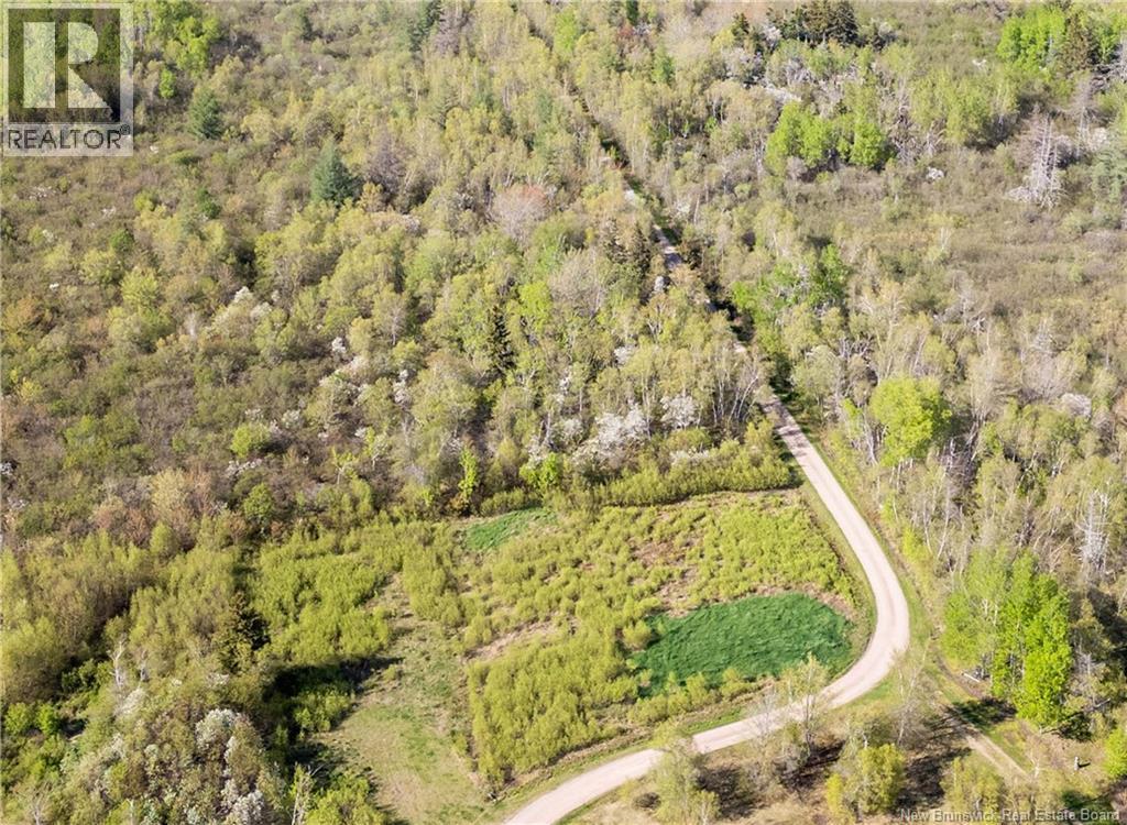 Lot Lloyd Allen Lane, Upper Cape, New Brunswick  E4M 3E8 - Photo 6 - NB140061
