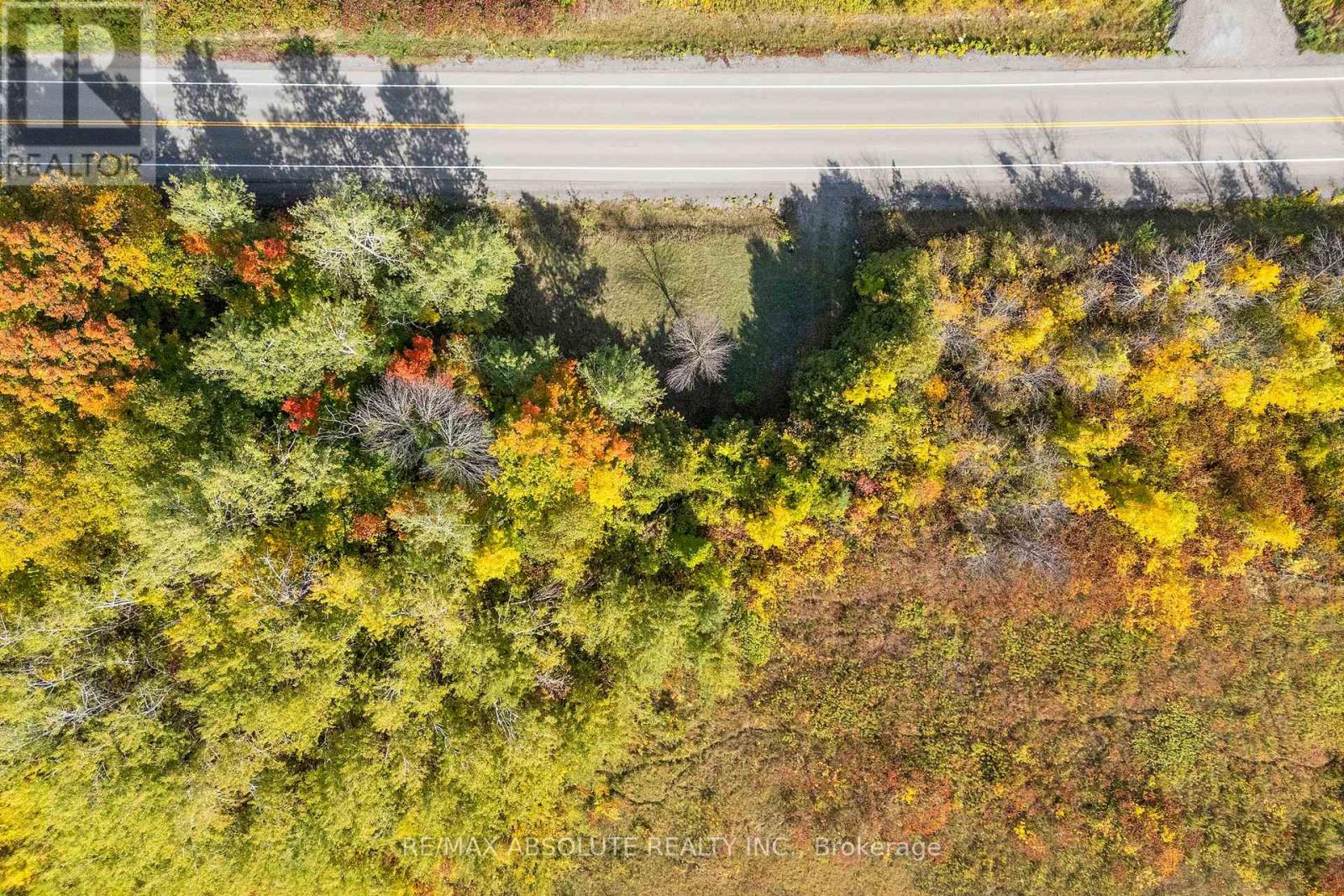 2325 River Road, Mcnab/braeside, Ontario K0A 1G0 - Photo 7 - X12780272