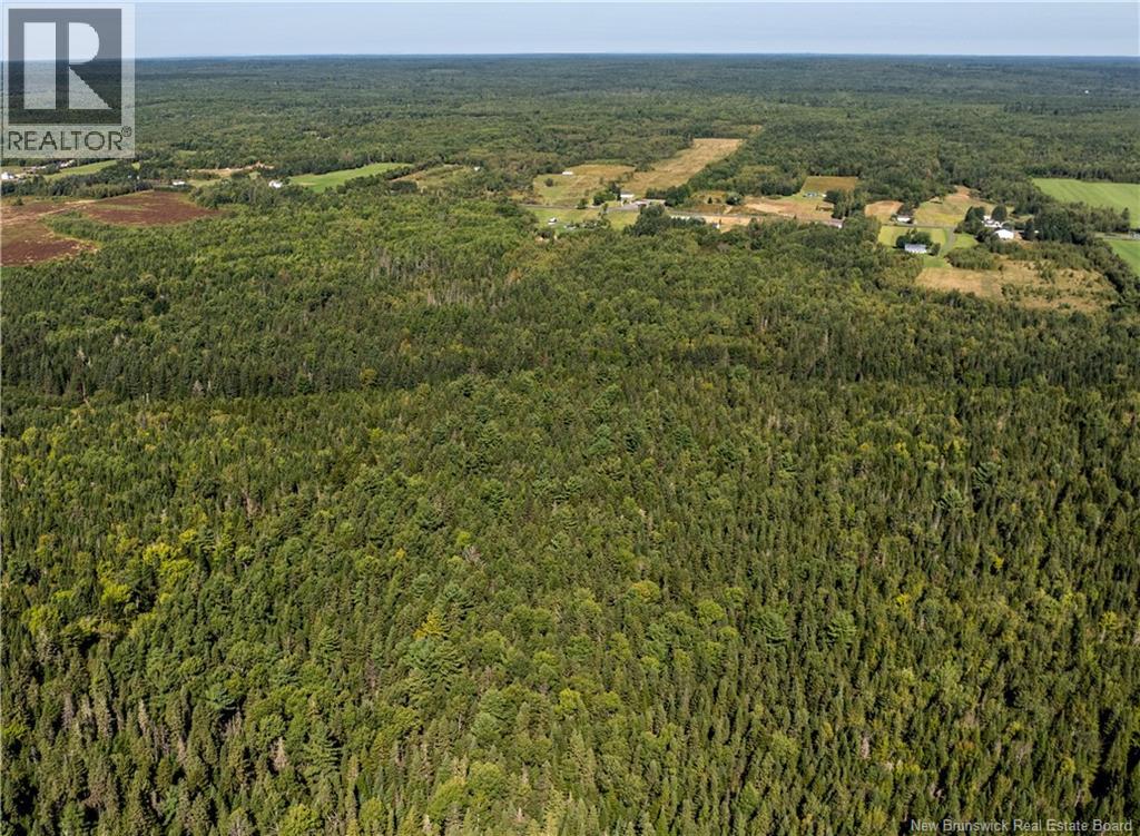 6386 Route 10, Upper Salmon Creek, New Brunswick  E3A 1E1 - Photo 49 - NB140163
