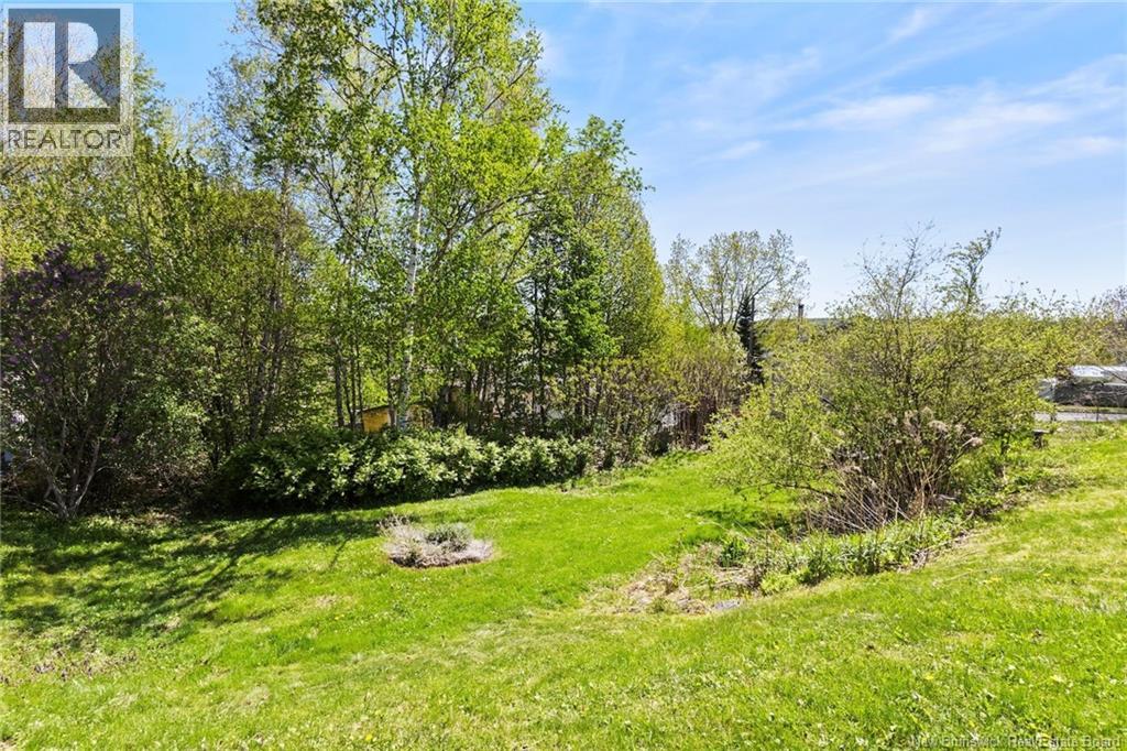 18 Hollybrook Street, Fredericton, New Brunswick  E3A 4N7 - Photo 39 - NB140069