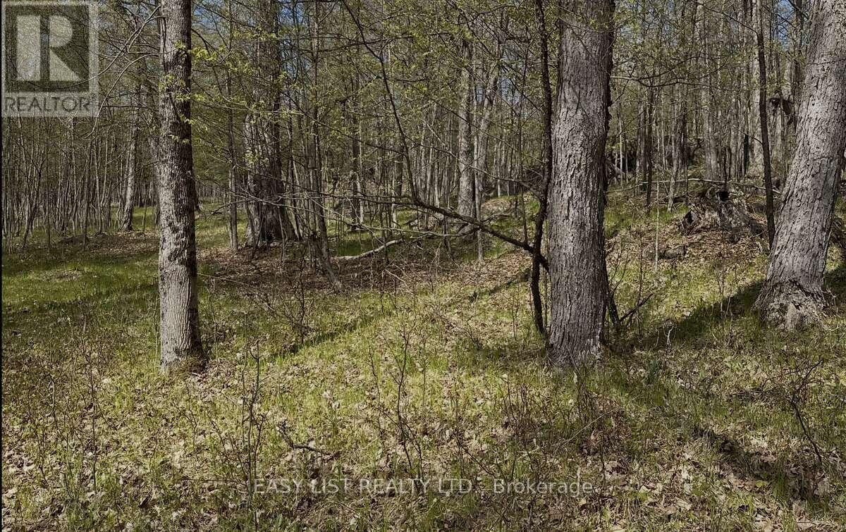 1040 Concession 7, Lanark Highlands, Ontario  K0G 1M0 - Photo 12 - X13137028