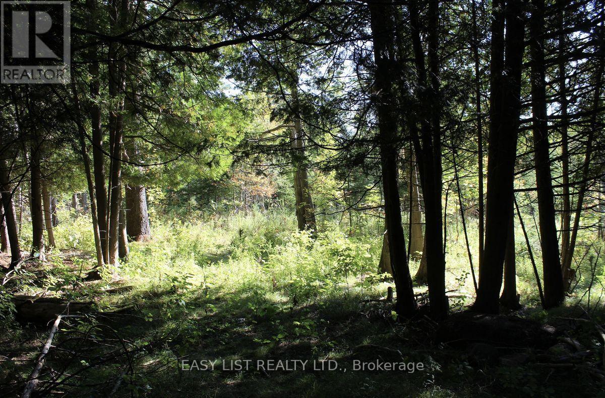 1040 Concession 7, Lanark Highlands, Ontario  K0G 1M0 - Photo 16 - X13137028
