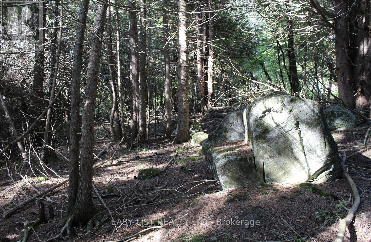 1040 Concession 7, Lanark Highlands, Ontario  K0G 1M0 - Photo 17 - X13137028