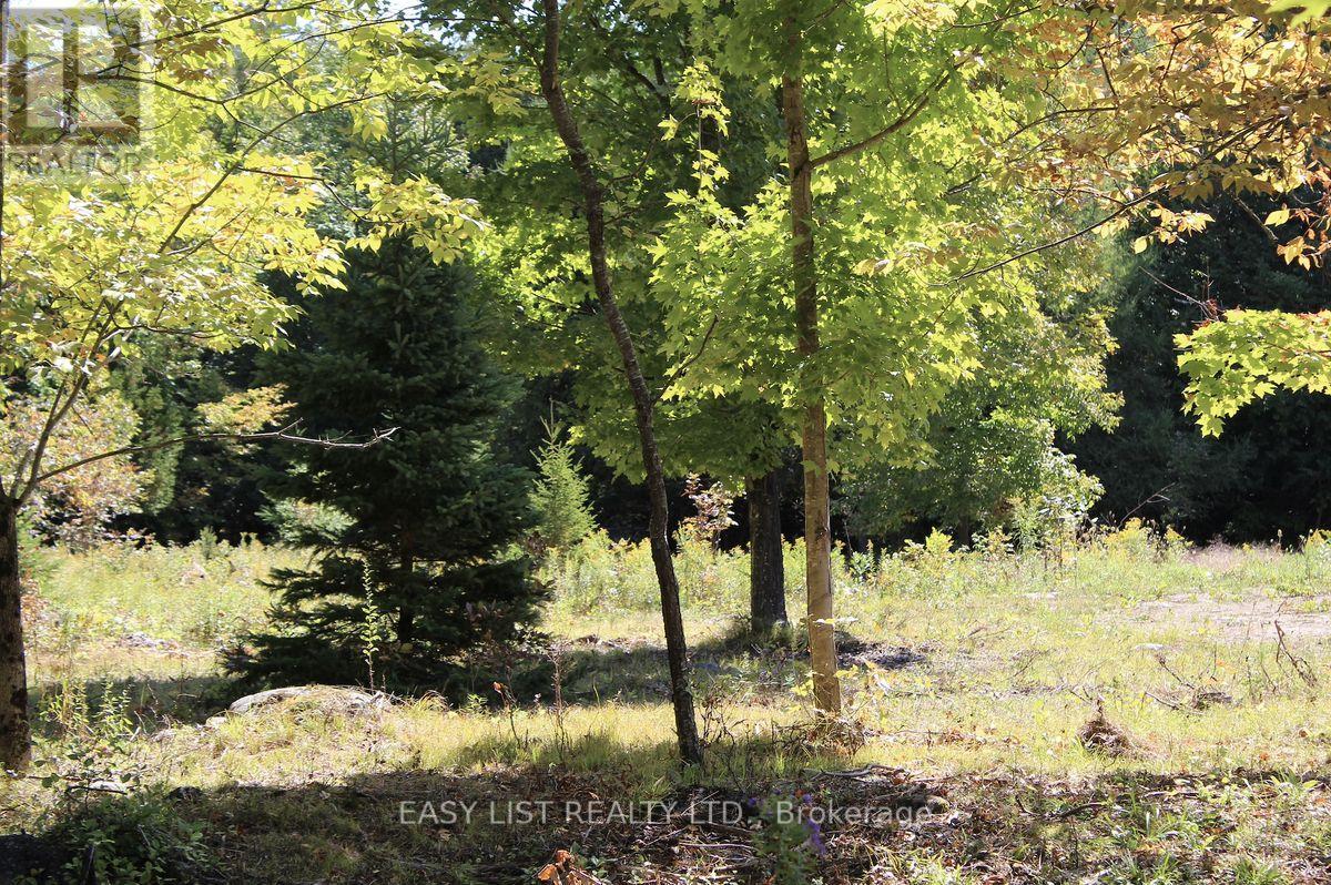 1040 Concession 7, Lanark Highlands, Ontario  K0G 1M0 - Photo 18 - X13137028