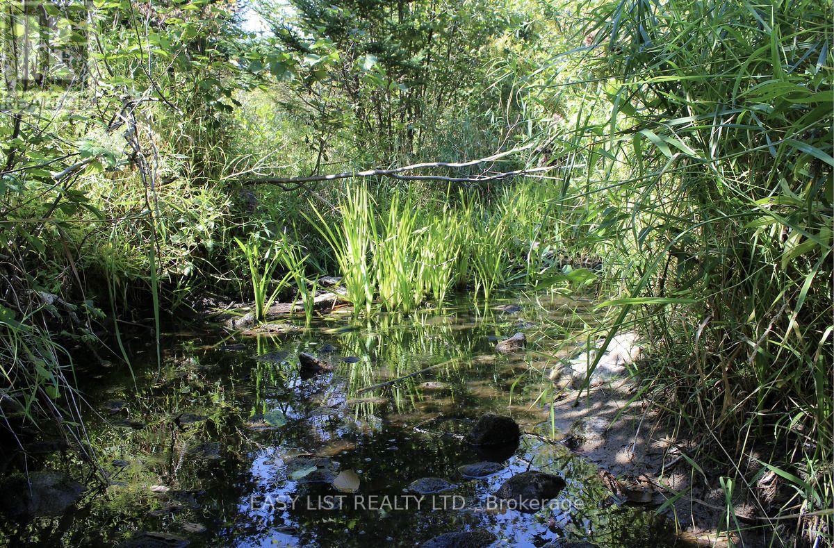 1040 Concession 7, Lanark Highlands, Ontario  K0G 1M0 - Photo 19 - X13137028