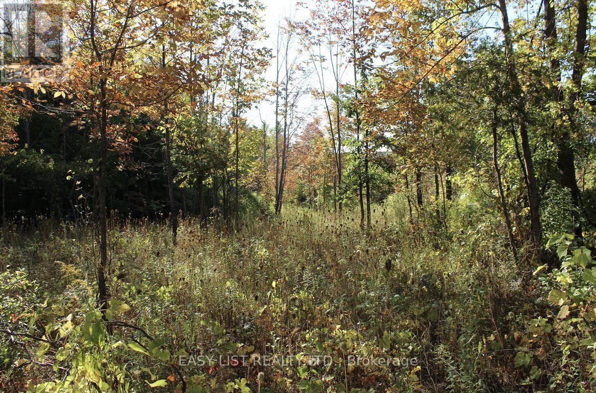 1040 Concession 7, Lanark Highlands, Ontario  K0G 1M0 - Photo 25 - X13137028