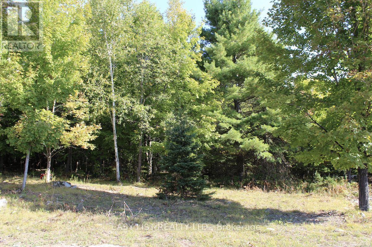 1040 Concession 7, Lanark Highlands, Ontario  K0G 1M0 - Photo 8 - X13137028