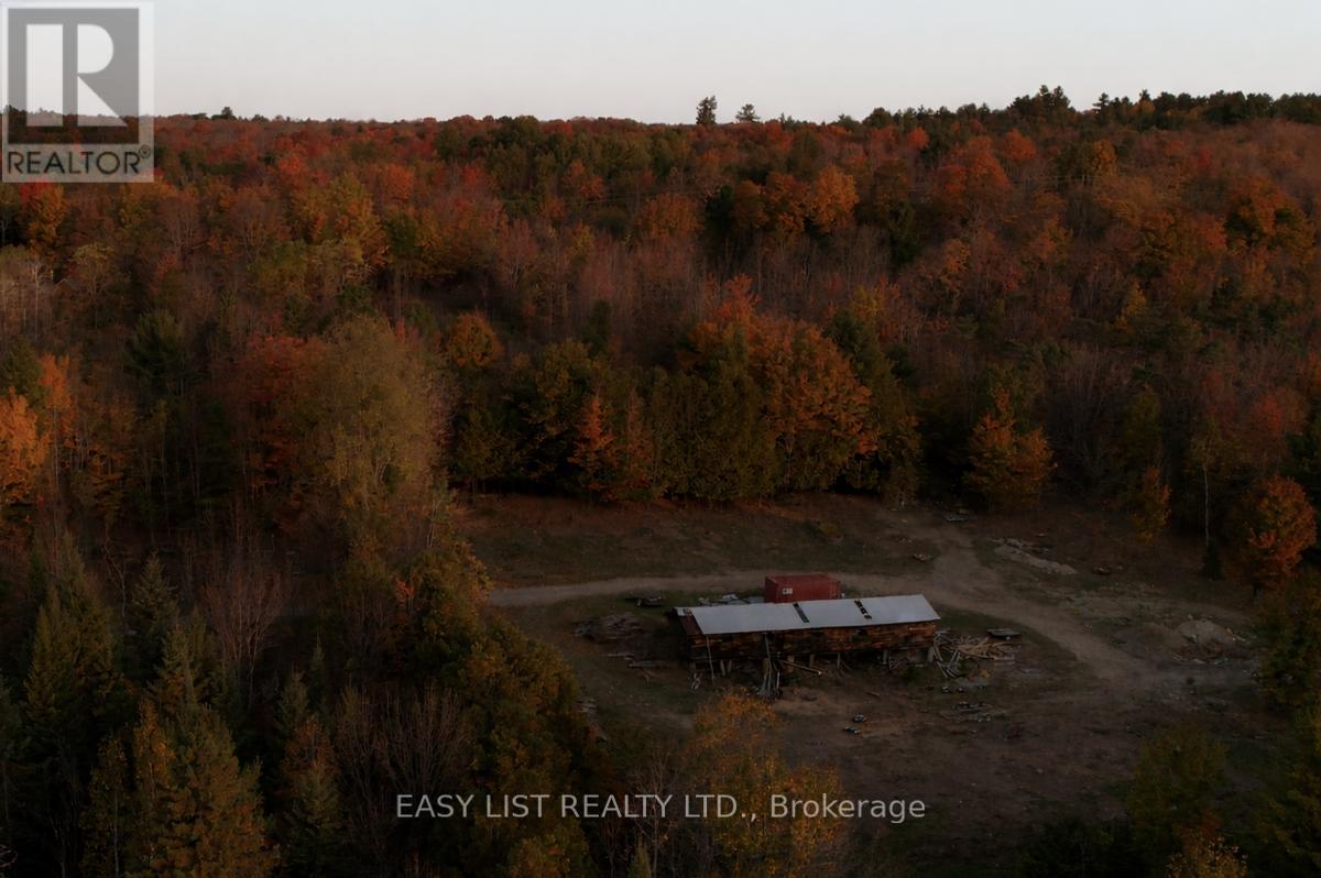 1040 Concession 7, Lanark Highlands, Ontario  K0G 1M0 - Photo 3 - X13137028