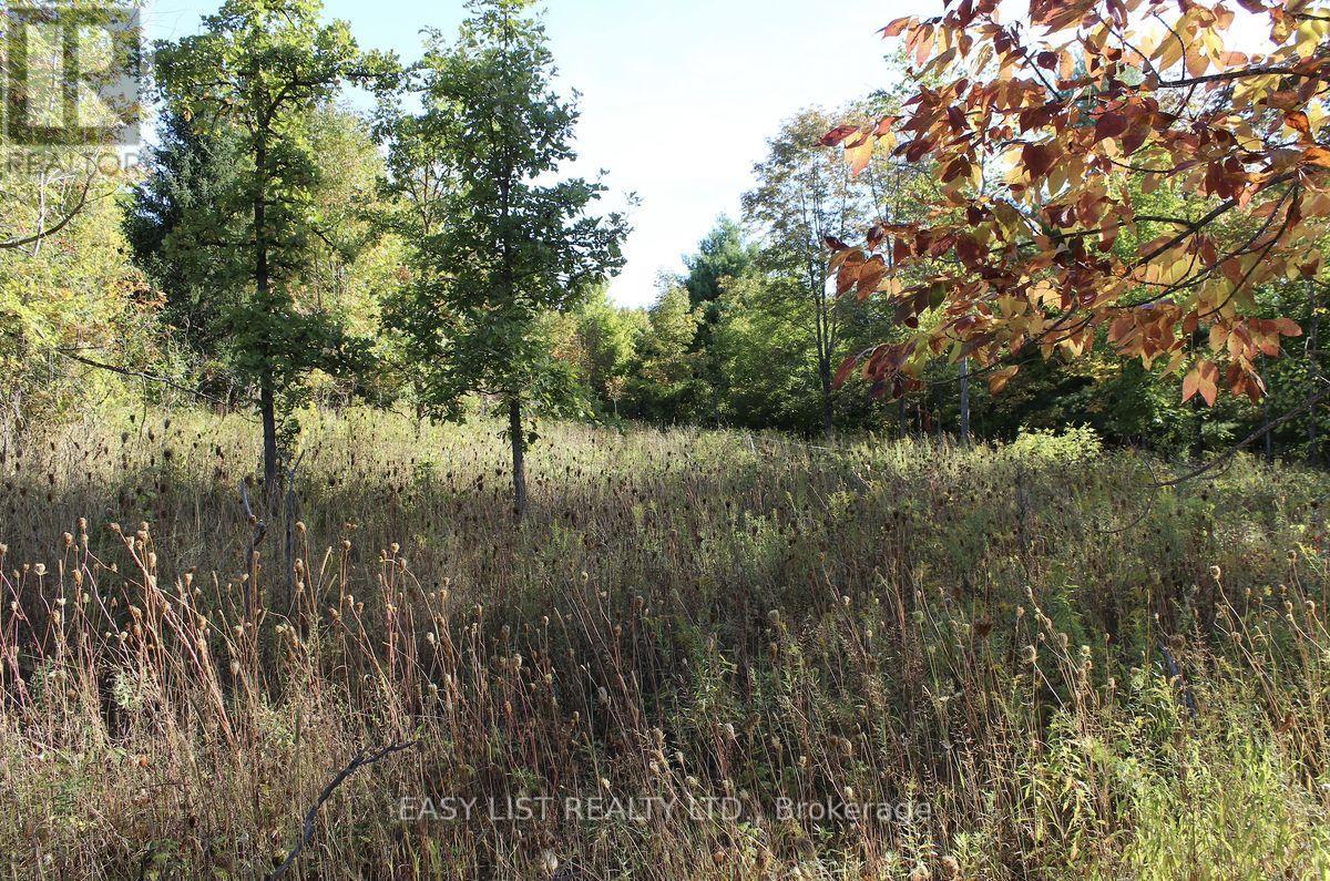 1040 Concession 7, Lanark Highlands, Ontario  K0G 1M0 - Photo 5 - X13137028